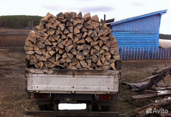 Дрова дубовые