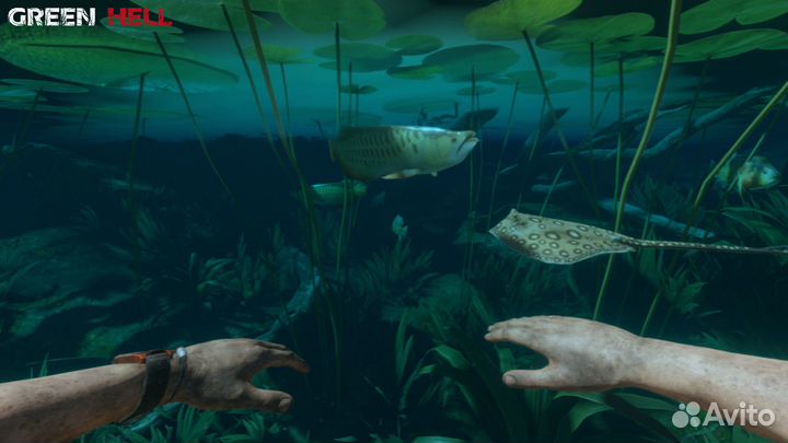 Green Hell (PS4/PS5)