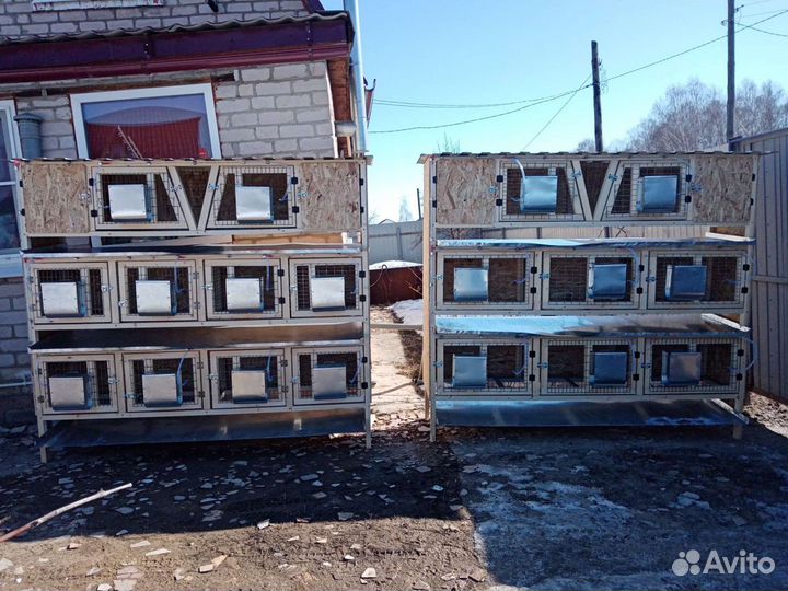 Клетки и брудеры