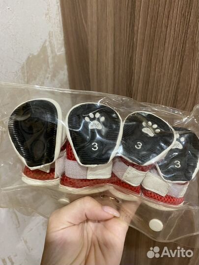 Ботинки для собак