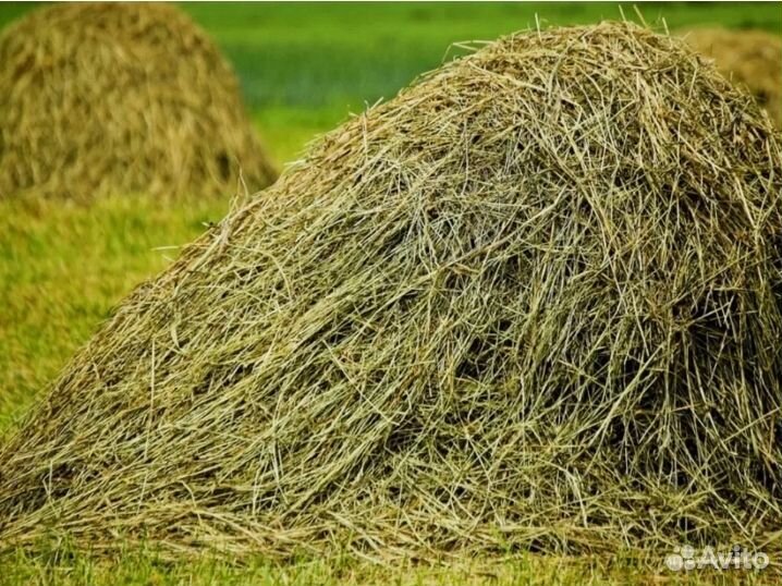 Сено в мешках