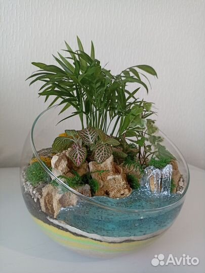 Флорариум с тропическими влаголюбивыми растениями