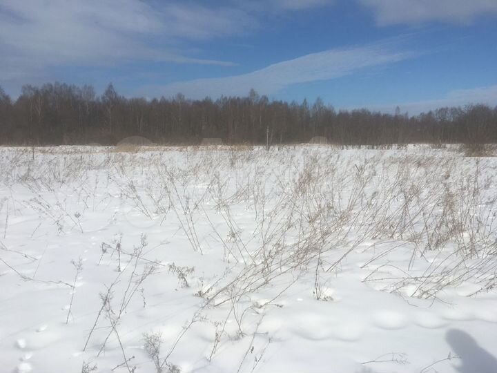 Участок 20,5 сот. (СНТ, ДНП)