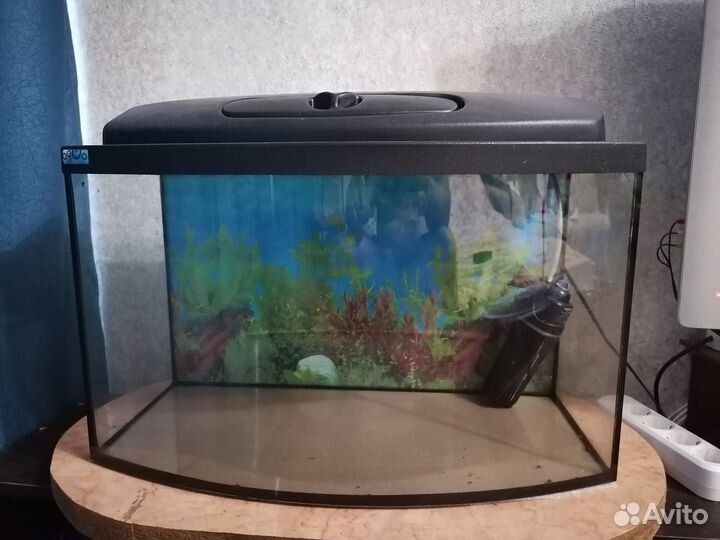 Аквариум