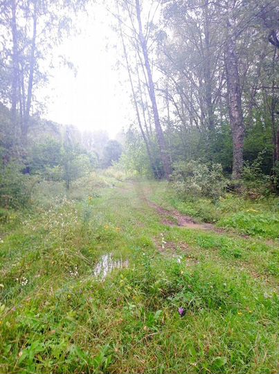 Участок 15 сот. (СНТ, ДНП)