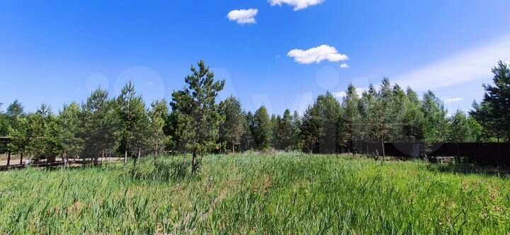 Участок 9,7 сот. (СНТ, ДНП)