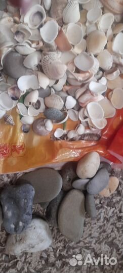 Ракушки, камушки для творчества