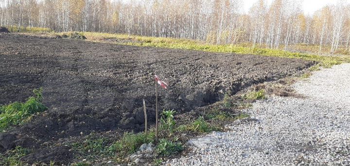 Участок 10 сот. (СНТ, ДНП)