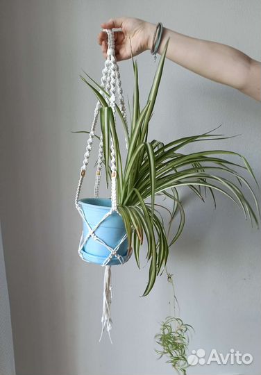Подвес для цветов, Кашпо макраме