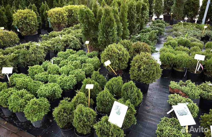 Разнорабочий Подработка (Оплата сразу)