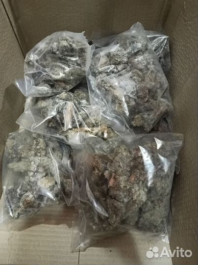 Живица кедровая кг