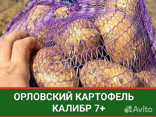 Картофель Оптом