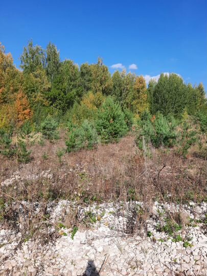 Участок 10 сот. (ИЖС)