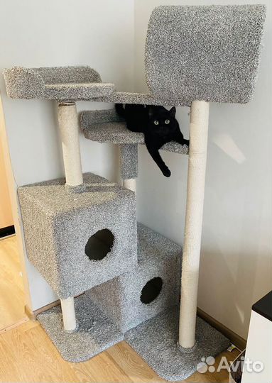 Когтеточки и домики