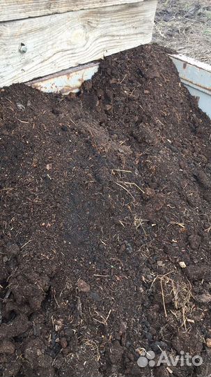 Перегной навоз коровий дрова береза
