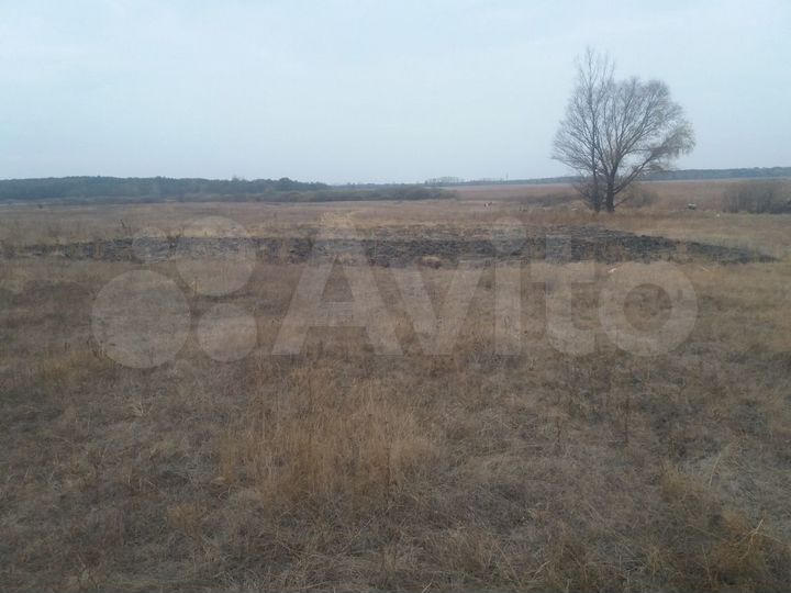 Участок 15 сот. (ИЖС)