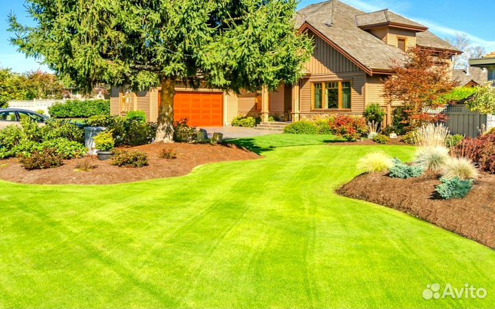 Рулонный газон - газон с укладкой