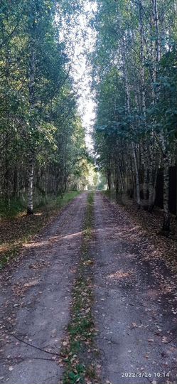 Участок 15 сот. (СНТ, ДНП)