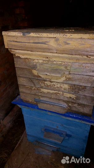 Пчёлы.Пчелиные улья