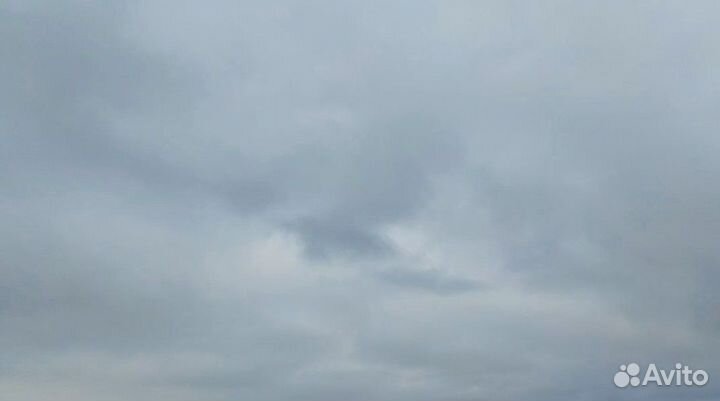 Чёрный маг, Порчи, Рассоры, Сглазы, обучение