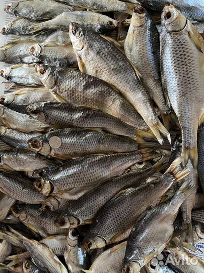 Астраханская Вобла