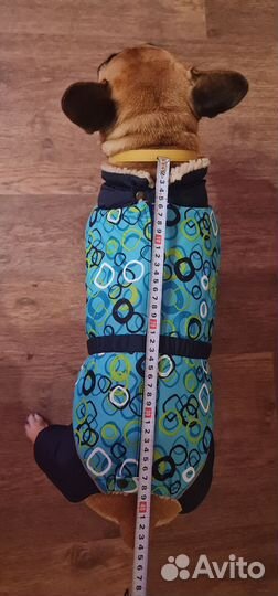 Комбинезон для собаки девочки