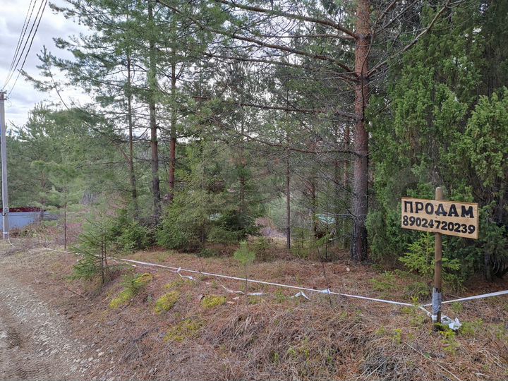 Участок 16,2 сот. (СНТ, ДНП)