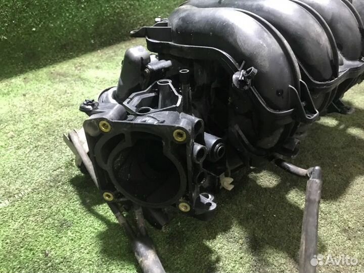 Коллектор впускной Ford Focus 2 qqdb