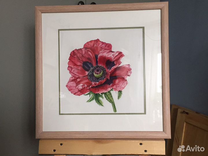 Мак. Акварель. 28*28 см