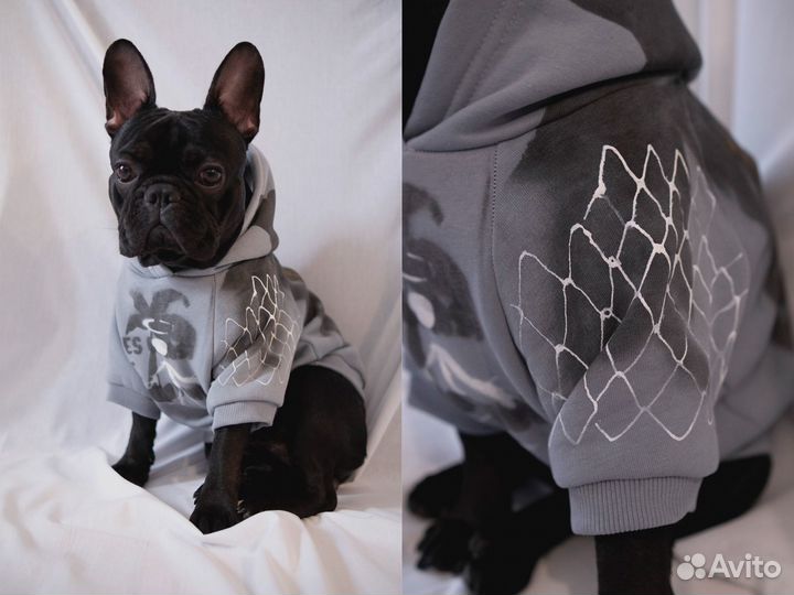 Худи для собак (дизайнерские)