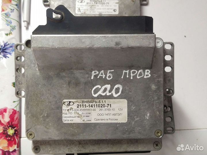 Эбу Мозги январь разбор