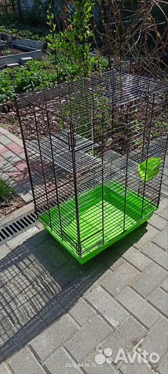 Большая Клетка для грызунов. Чистая