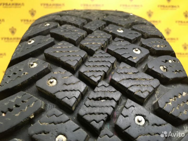 Continental ContiWinterViking 1 175/65 R14