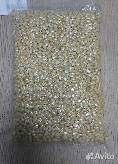 Кедровый орех оптом