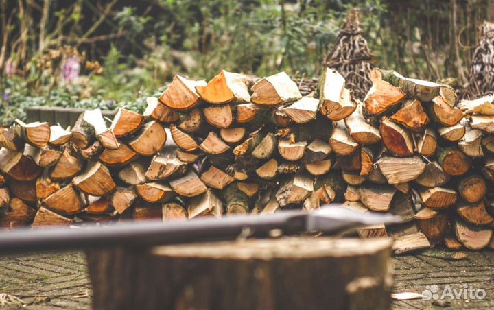 Дрова не гнелые