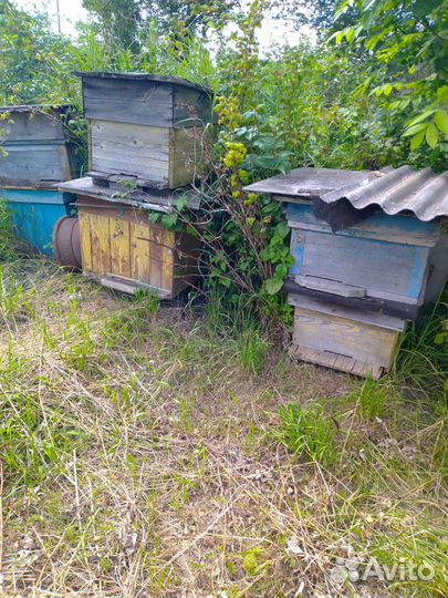 Ульи, инвентарь