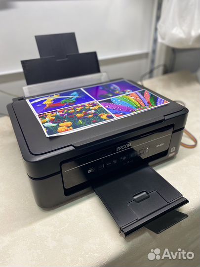 Цветной струйный мфу Epson XP-203