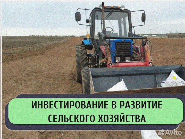 Ищу инвестора в с/х. Доход до 50%