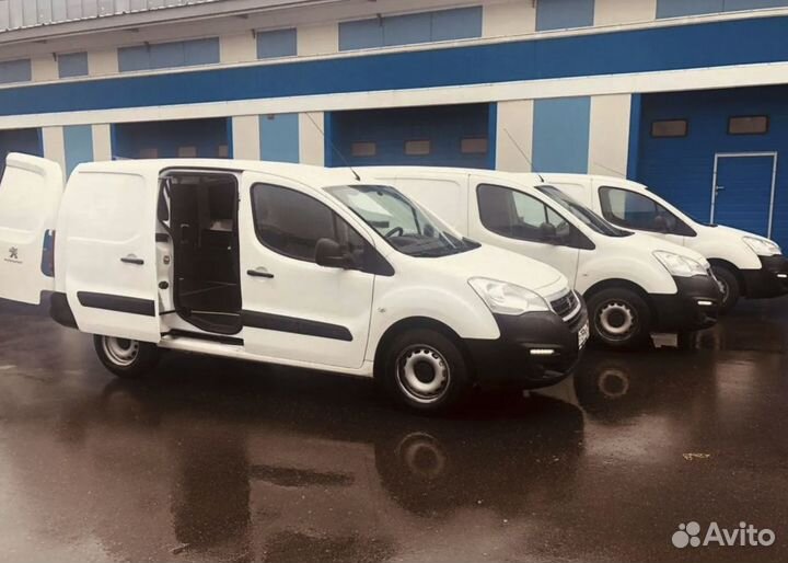 Сдаем под доставку