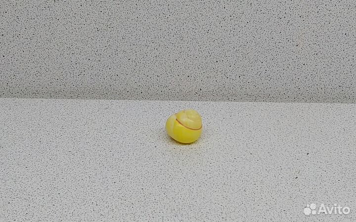 Ленд Снейл 2,10 морская ракушка раковина