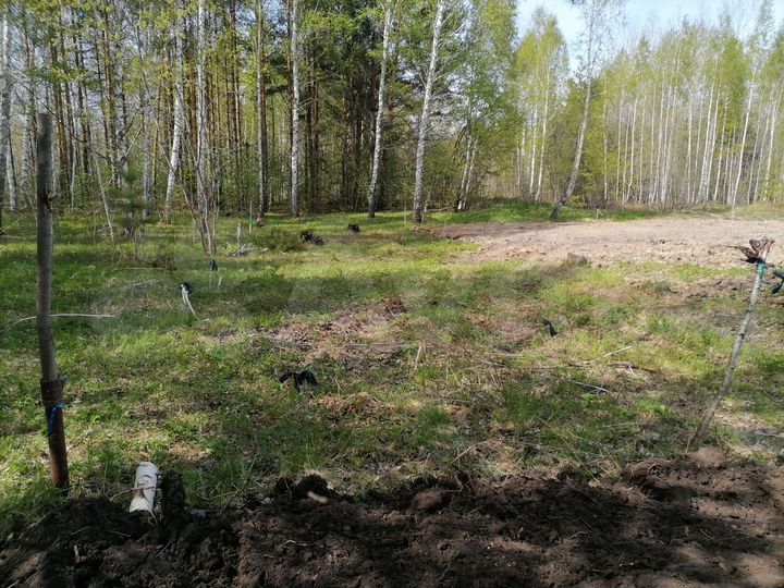 Участок 10 сот. (ИЖС)