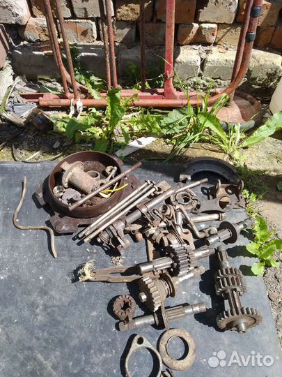 Запчасти муравей