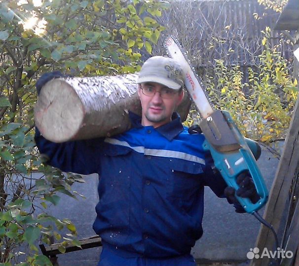 Системный администратор