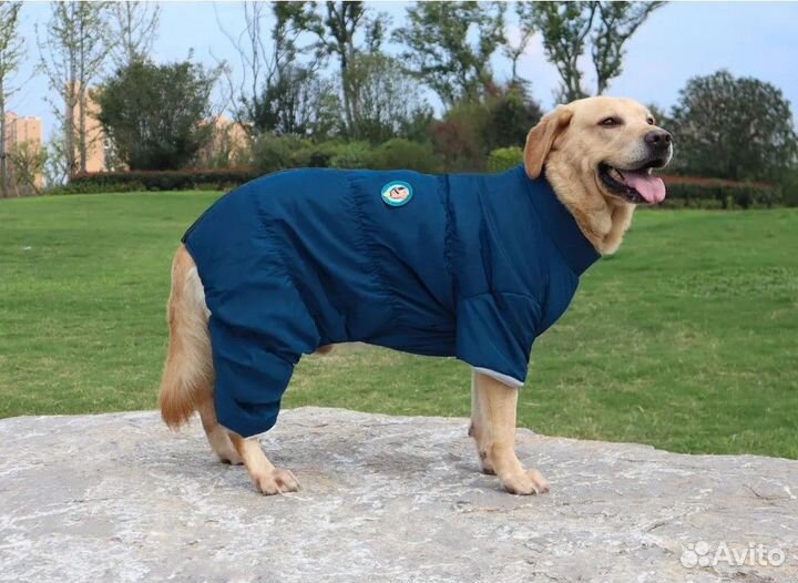 Комбинезоны для собак