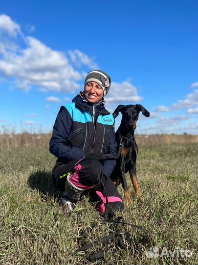 Кинолог. Зоопсихолог. Спорт окд, BH-VT, IGP