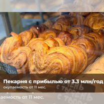 Пекарня по франшизе, прибыльный бизнес без опыта, Сенгилей