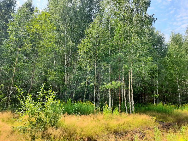 Участок 14 сот. (ИЖС)