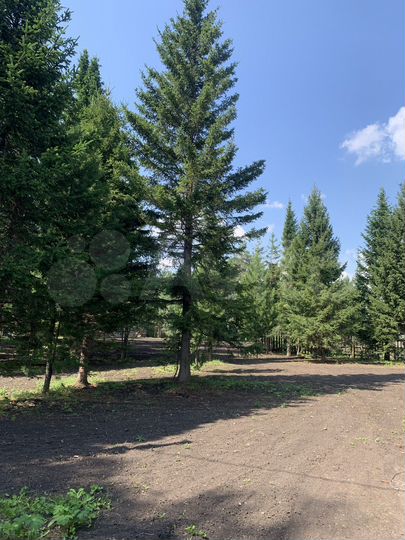 Участок 10 сот. (СНТ, ДНП)