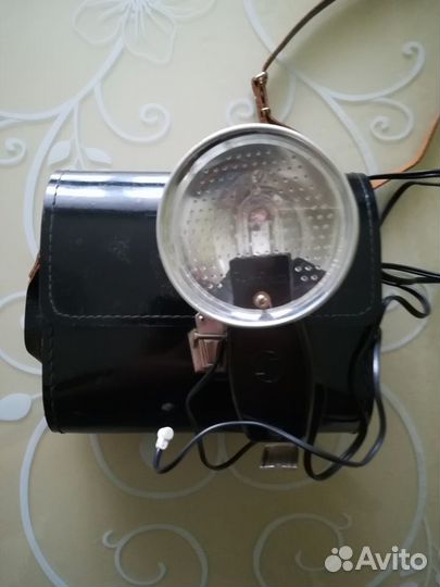 Фотовспышка чайка