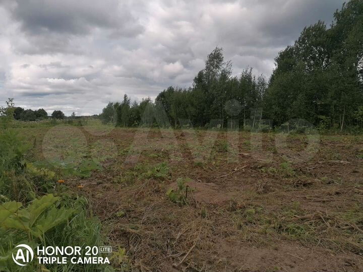 Участок 15 га (ИЖС)